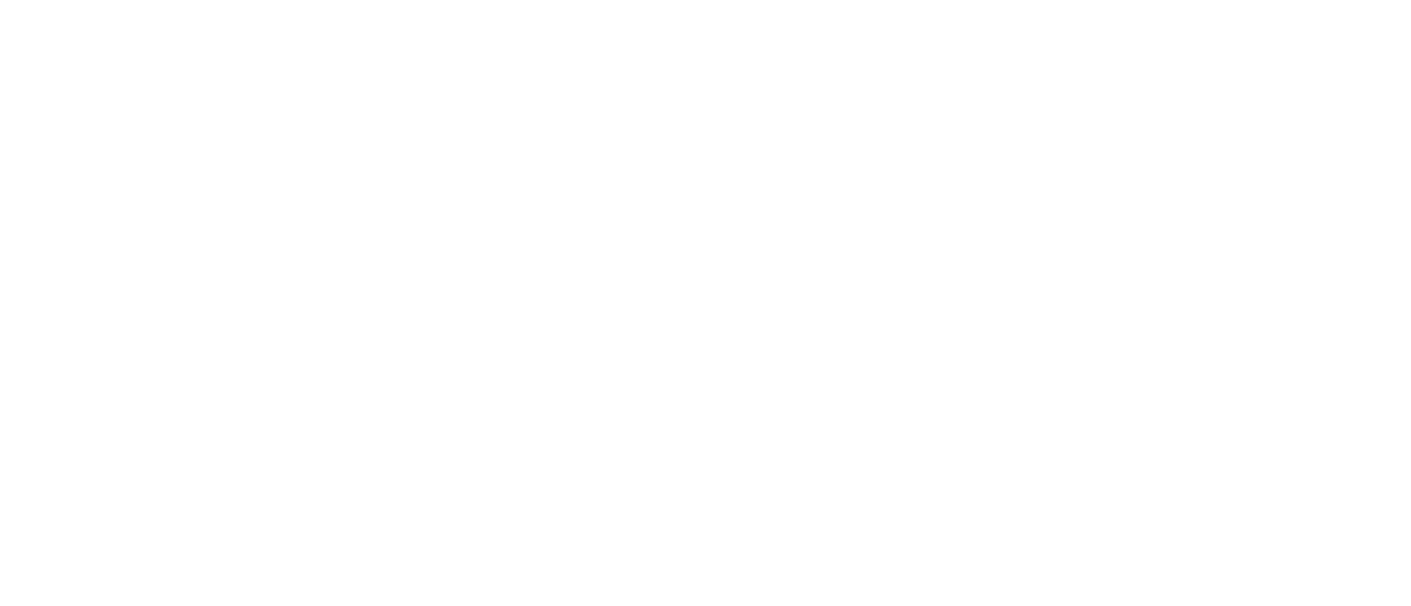 Microsoft Gold Partner Company